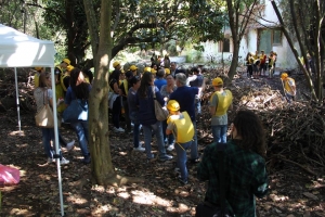 14470383_1770034949935580_4716440698412086606_n